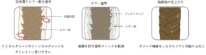 カラーのダメージを抑えながら栄養を入れて髪質改善