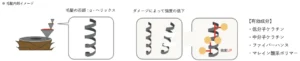 髪質改善ストレートと同時にファイバーハンスを補給