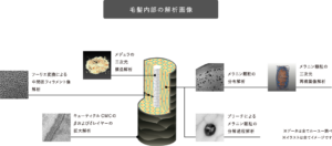 バイカルテで髪質改善